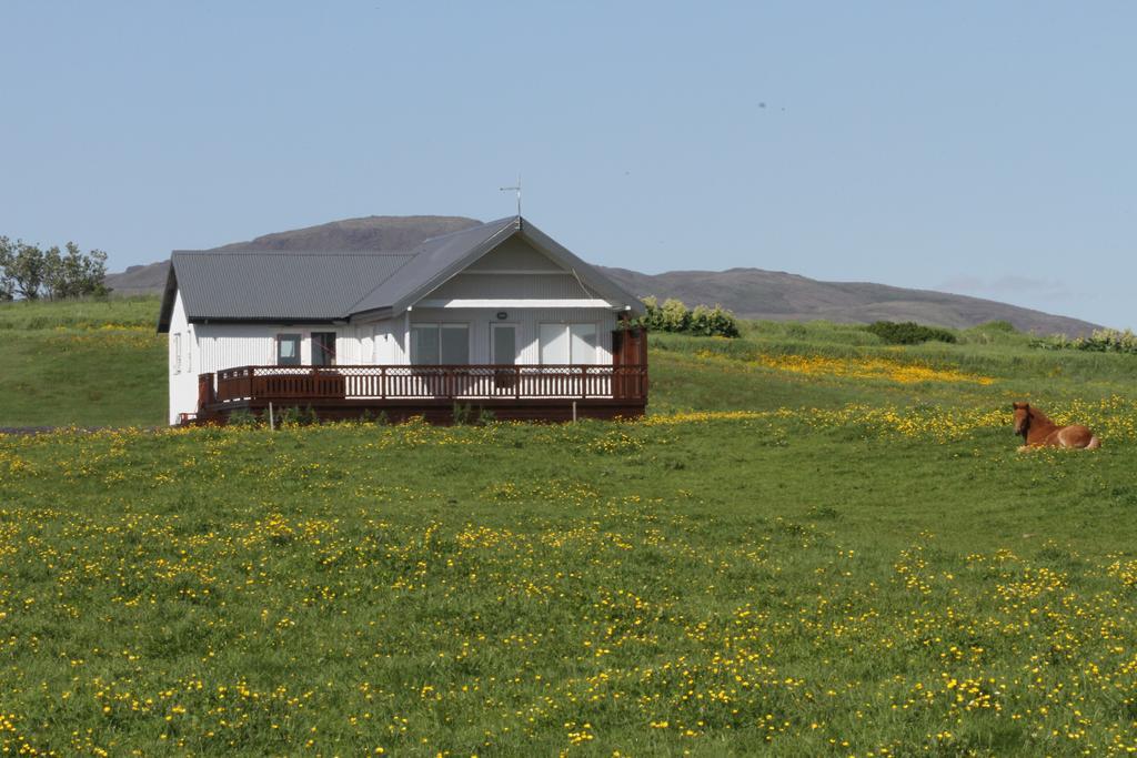 Stryta Guesthouse Hveragerdi Exterior foto